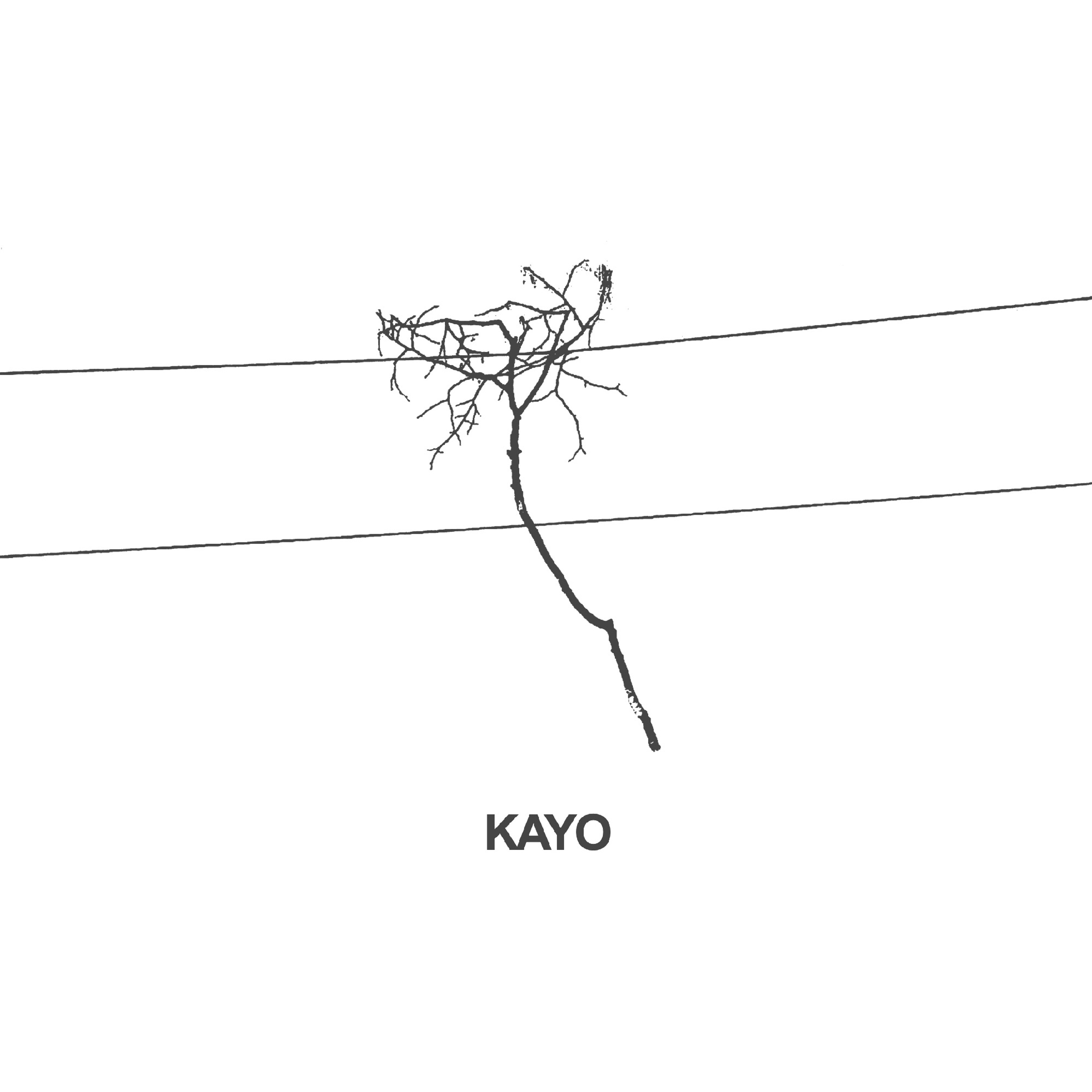 Kayo | DSKF040 episode artwork
