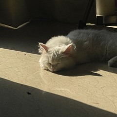 freeverse02 w/ Ahmer