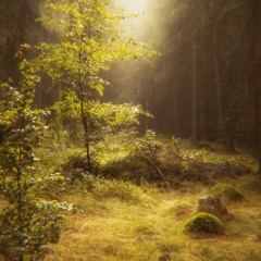 Suprised (prod.Aspect)