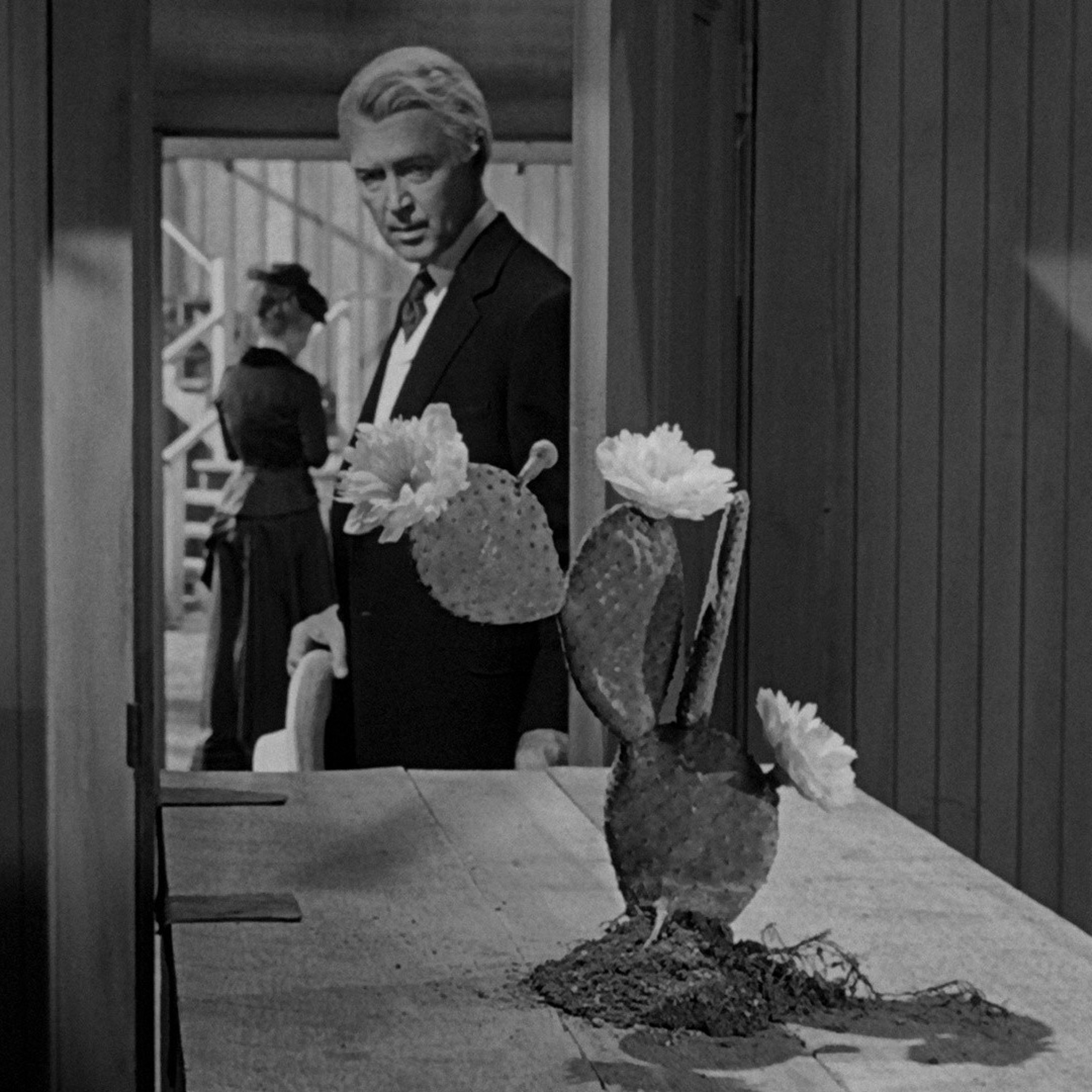 #424 The Man Who Shot Liberty Valance (1962), de John Ford