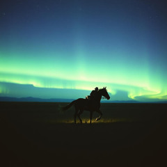 Natalie Vega - Equestrian Dreams