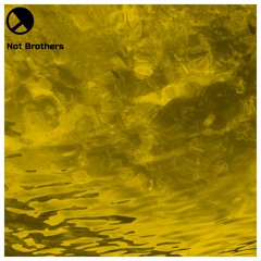 Not Brothers - Bust A Rhyme. YMFDS025