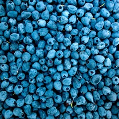 Blueberries