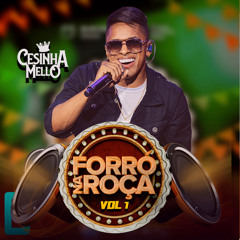 Franguinho Na Panela