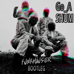 Go_A - Shum (Funkhauser Remix) (Eurovision 2021)