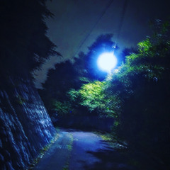 Oboro night road