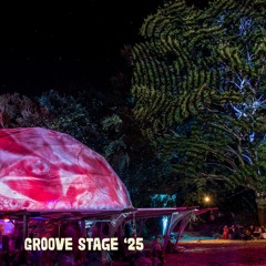 Uroczysko 2025 - Groove Stage Artists