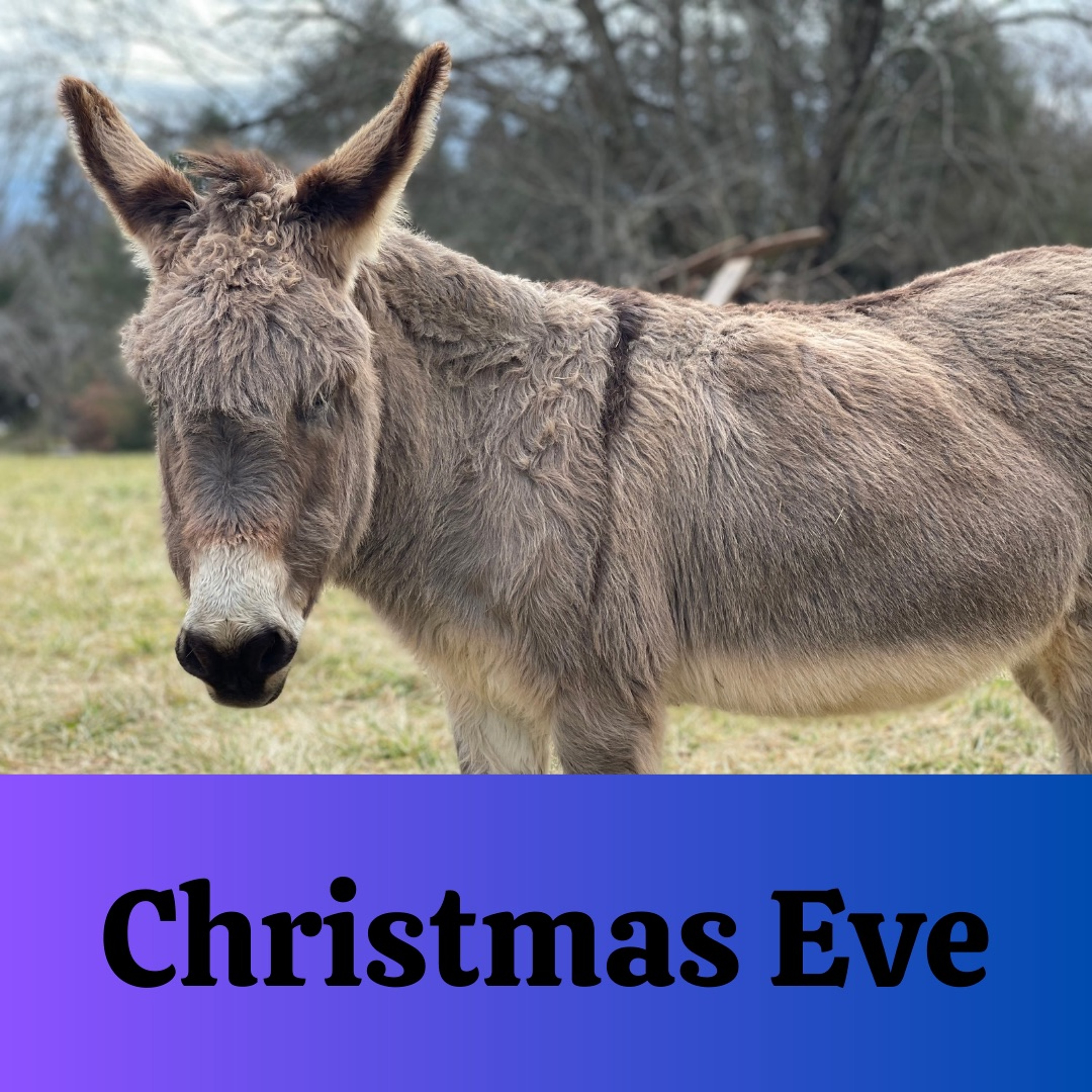 Christmas Eve Sermon episode artwork