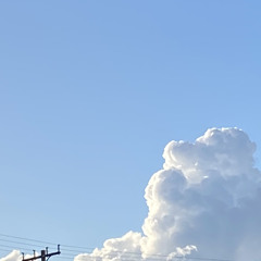 Wonderful!