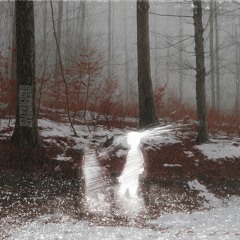 and so the story goes