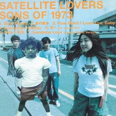 Remove Wanted Level - LAZER DIM 700 (Satellite Lovers REMIX)