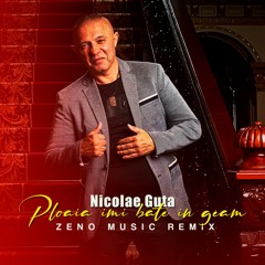 Nicolae Guta - Ploaia Imi Bate In Geam ( Zeno Music Remix )