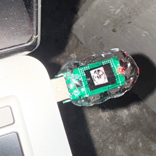 preMiere: SABLEMIK + RUDEBWOY P - WICKED REPRISE