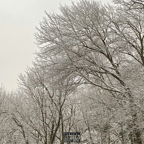 nardo$ reign - aint mean a thing
