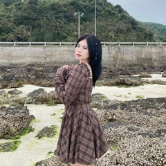 Track 112 - VIỆT ANH 26 ( MIX ) -BY PHƯƠNG LAN