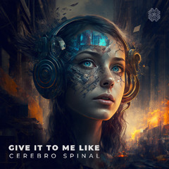 Give It To Me Like