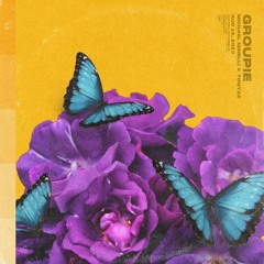 Groupie - Michael Minelli and Tony22