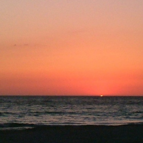 Peace 6