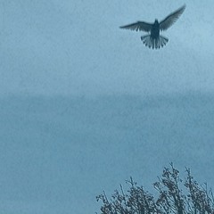 Pensamientos impetuosos, Pt. 4