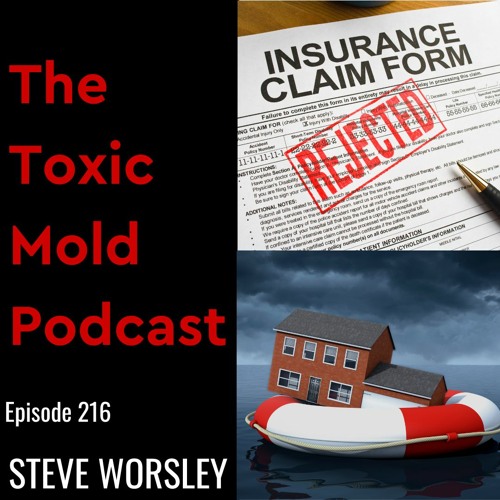 EP 216: Homeowners Insurance and Mold Mitigation