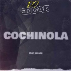 Dj Edgar Ft Dj Nelson & Rafy Mercenario  - Cochinola Cochinear - Tech House Remix