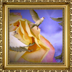 For Love I Will Let Love Go