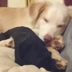 I Dream of Empty Rooms