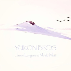Yukon Birds