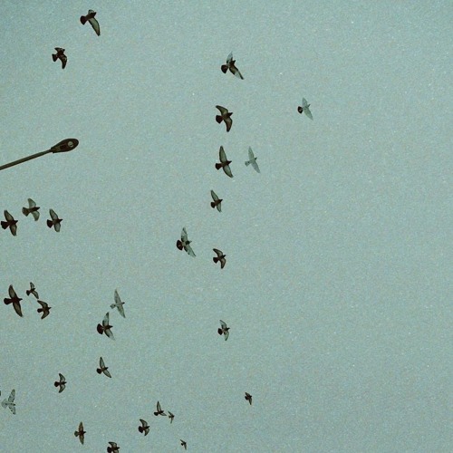 Tommy Lewis, FVKS - Misinterpretation
