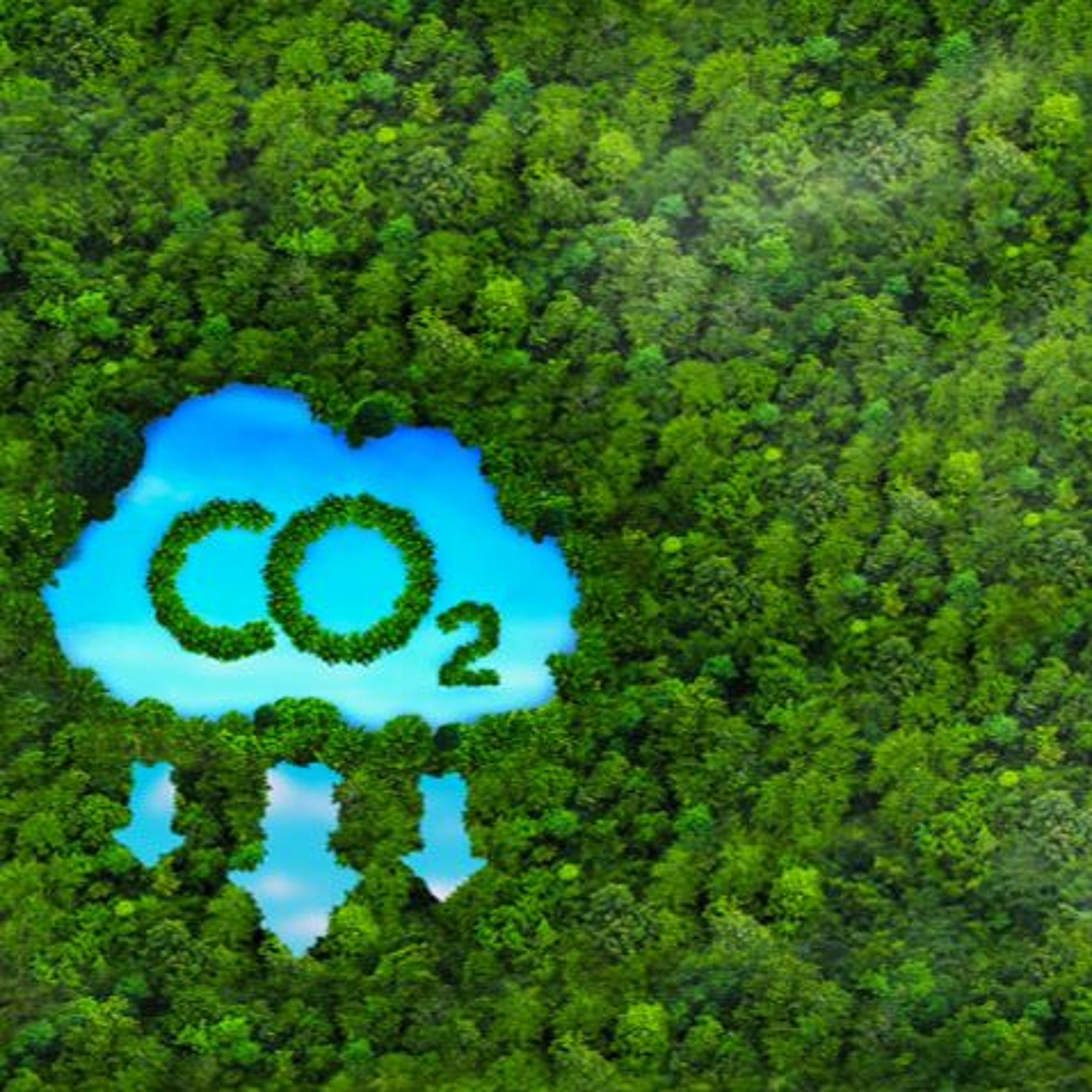 Gemline Execs Delve Into Product-Level Carbon Emissions Tracking Initiative episode artwork