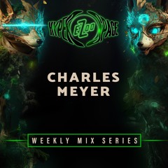 Charles Meyer | Electric Zoo 2023 Mix Series | Episode 11