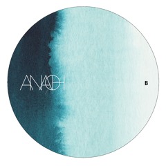 [PREMIERE] | Fixon - Clinging To The Roots [ANA008LTD]