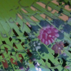 following percussion