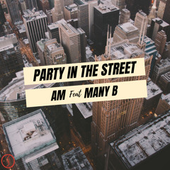 Party in the street (feat. Many B)