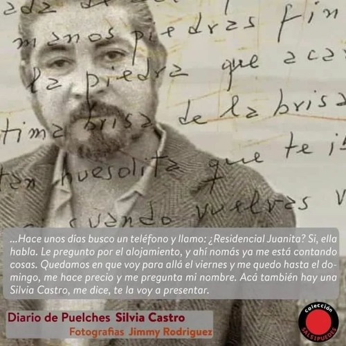 Diario de Puelches de Silvia Castro, por Beatriz Vignoli