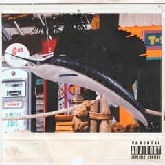Swordfish (feat. STØNEZ)