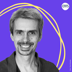 La gastrulation, première étape de la vie, avec Pierre-François Lenne (CNRS)