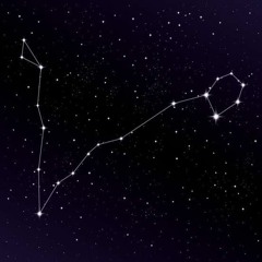 FSKN 001