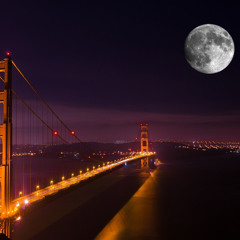 “Urban House Vibes: San Francisco Edition”