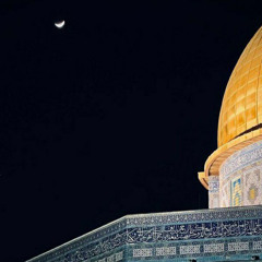 غردي يا روح | أحمد النفيس