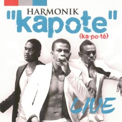 Harmonik - True Love (Live)