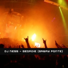 Gabry Ponte - Geordie (DJ Ness Remake)