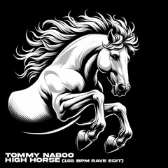Tommy Naboo - High Horse (155BPM RAVE EDIT)