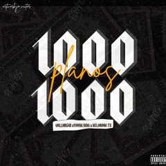 1000 PLANOS (Willianzin X Young King X Kelvadas)