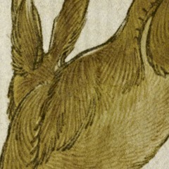 Harpy Hare Lark-Hersals —— Yaelokre