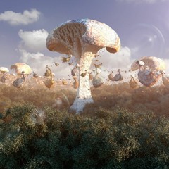 Synoptic Squints 80bpm Fmin