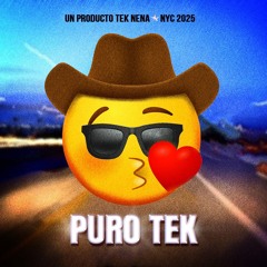 Tek Nena - Puro Tek