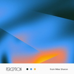 Perception from Mike Sharon (P.I.V / Ultra Knites Records)
