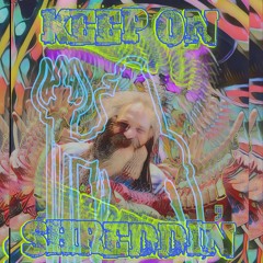 testsurfing modular waves