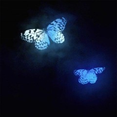 "Jak Spadnę To Skarbie Przez Ciebie"